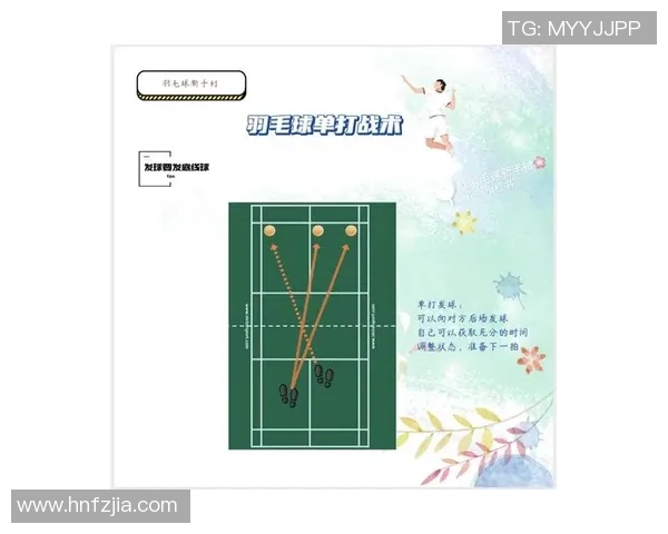 南京羽毛球队精英赛战术分析与表现评估探讨